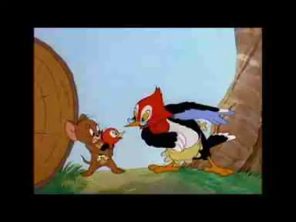 Video: Tom and Jerry, 41 Episode - Hatch Up Your Troubles (1949)